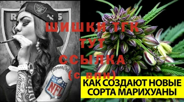 сатива Красноперекопск