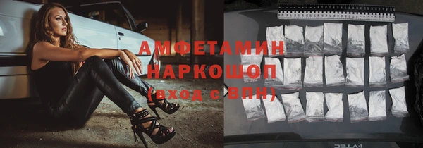 шишки Краснослободск