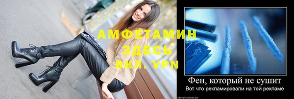 шишки Краснослободск