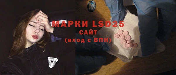 шишки Краснослободск