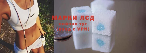 шишки Краснослободск