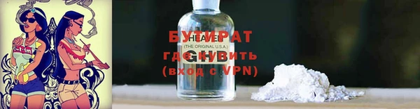 шишки Краснослободск