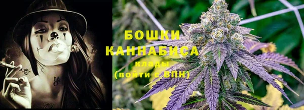 шишки Краснослободск
