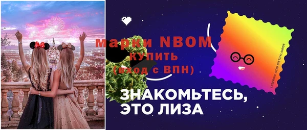 шишки Краснослободск