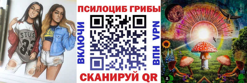 хочу   Елизаветинская  Псилоцибиновые грибы GOLDEN TEACHER 